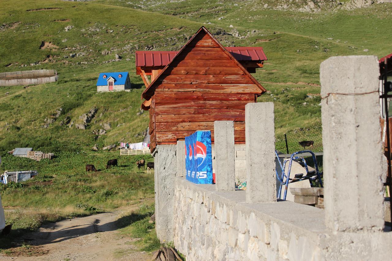 Rural Household Minic - Kapetanovo Jezero Hostel Kolašin Εξωτερικό φωτογραφία